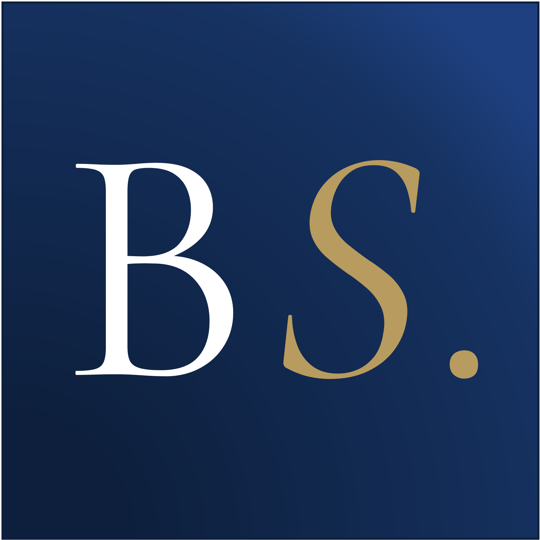 Bruscagnin Security. logo